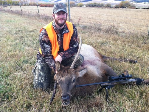 Elk2_Small.JPG Elk2_Small.JPG
