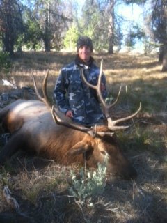 Bills 2012 bull.jpg Bills 2012 bull.jpg
