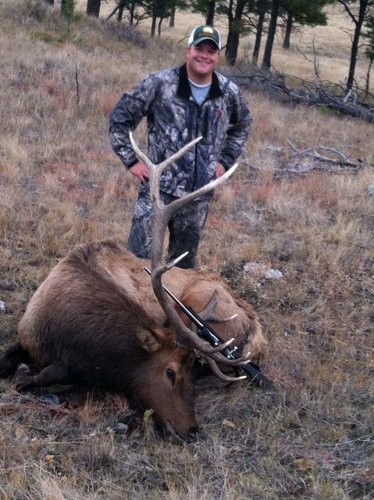 2012 elk3.jpg 2012 elk3.jpg