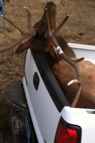 2012 elk4.PNG 2012 elk4.PNG