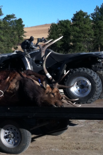 2012 elk5.PNG 2012 elk5.PNG