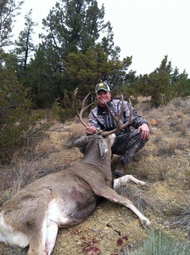 2012 deer.jpg