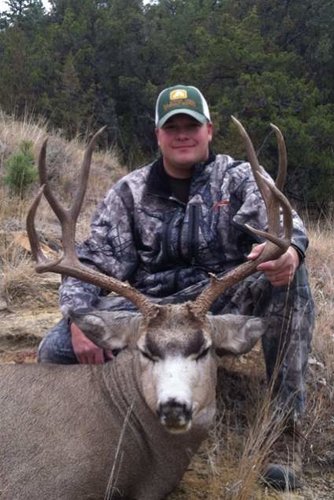 2012 deer1.jpg