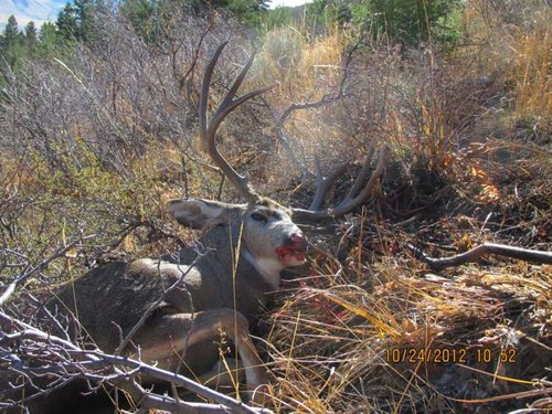 2012Deerhunt014.jpg