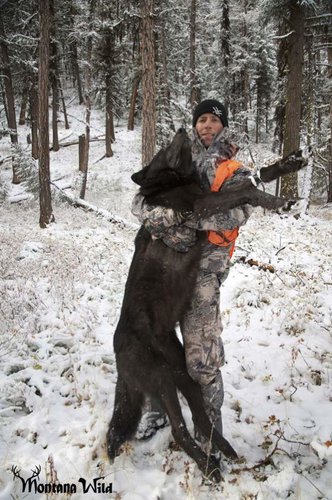 7.0Wolf_two.jpg 7.0Wolf_two.jpg