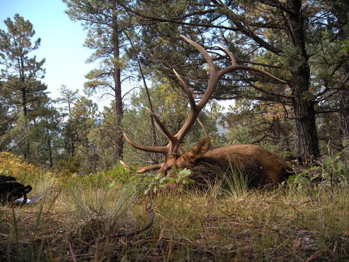 10-3-11 Jicarilla Elk Hunt 008_opt.jpg