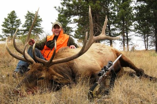 2012 RIFLE BULL.jpg