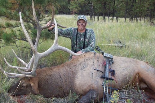 2010bull.jpg 2010bull.jpg