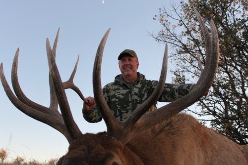 dad's bull II.jpg dad's bull II.jpg