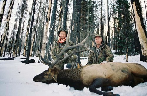 97 ID Elk-3.jpg