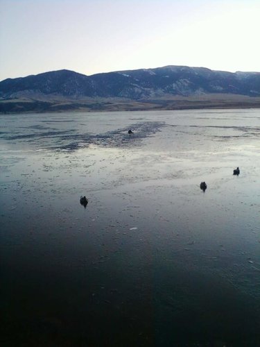 Bart thru Ice 2011.jpg
