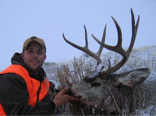2007muledeer2.jpg