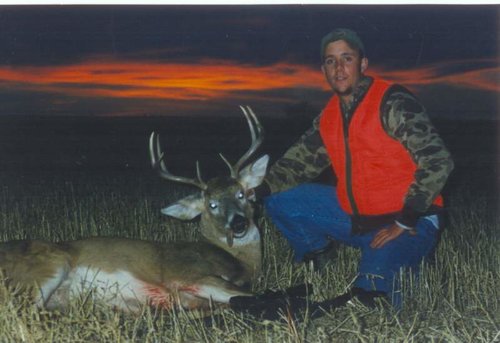 whitetail10.jpg