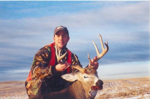 whitetail3.jpg