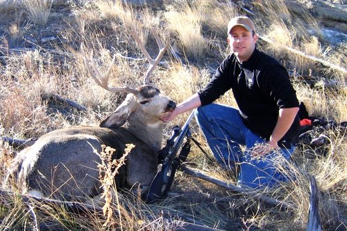 DEER SIZED.jpg