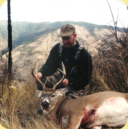 2002 ID WT.jpg
