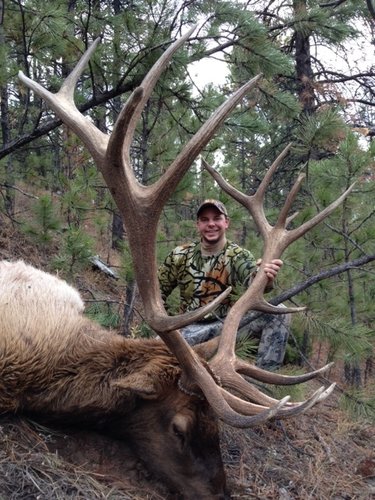 2012 BULL ELK 1.JPG