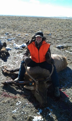 First elk 2012 lander WY Anne.jpg