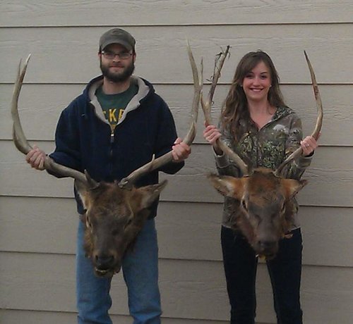 first elk together 2012.jpg first elk together 2012.jpg