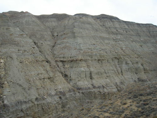 Picture 004.jpg