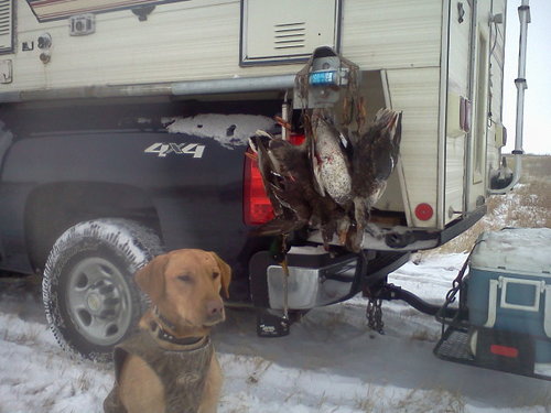 Copy (2) of 1109121052.jpg