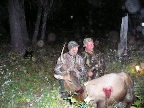 Elk '07.jpg