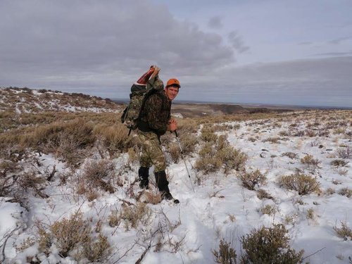 IdahoElk2012-6.jpg IdahoElk2012-6.jpg