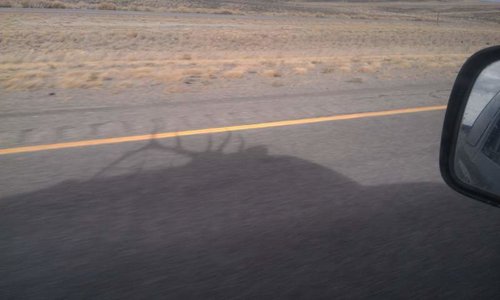 IdahoElk2012-24.jpg