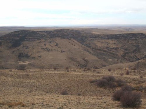 IdahoElk2012-17.jpg