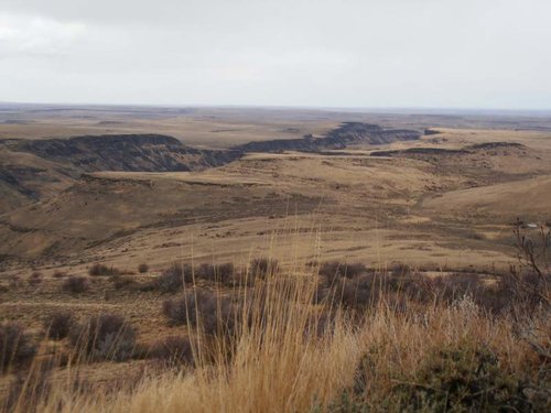 IdahoElk2012-18.jpg