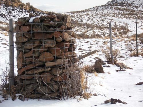 IdahoElk2012.jpg