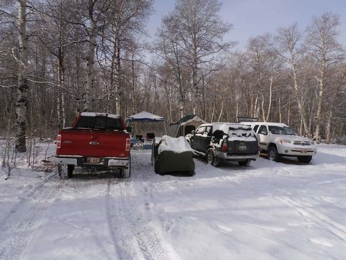 IdahoElk2012-4.jpg