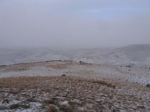 IdahoElk2012-16.jpg