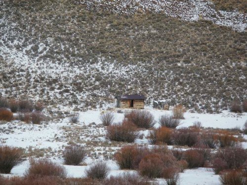 IdahoElk2012-19.jpg