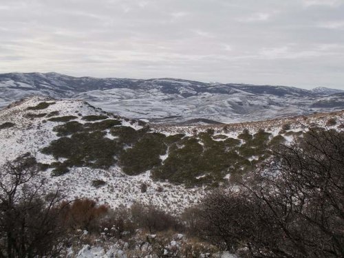 IdahoElk2012-21.jpg