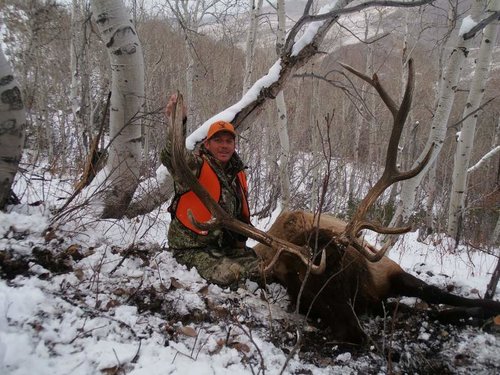 IdahoElk2012-10.jpg