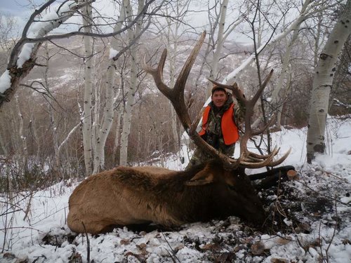 IdahoElk2012-11.jpg