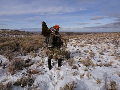 IdahoElk2012-7.jpg