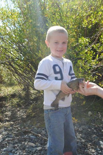 fall 2012 077.jpg fall 2012 077.jpg