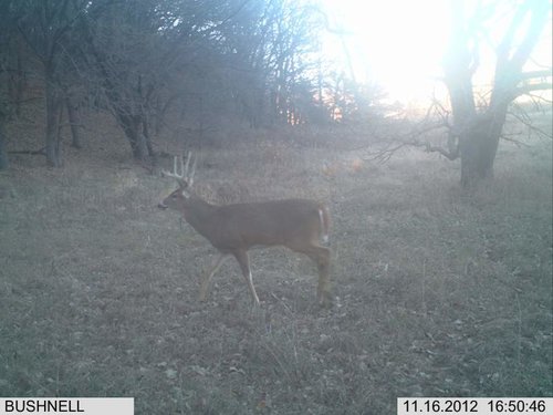 Bottom 11-16-12 098.jpg