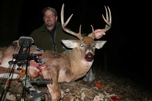 Old ones and FALL 2012 754.jpg