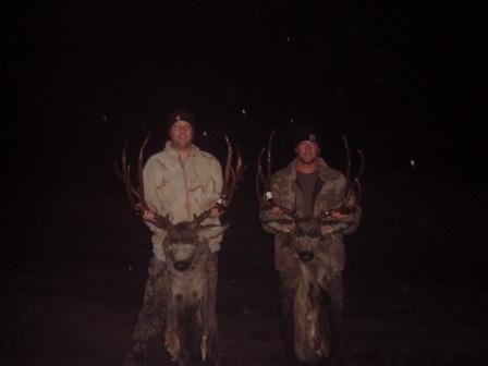 Idaho 2007 bucks.JPG Idaho 2007 bucks.JPG