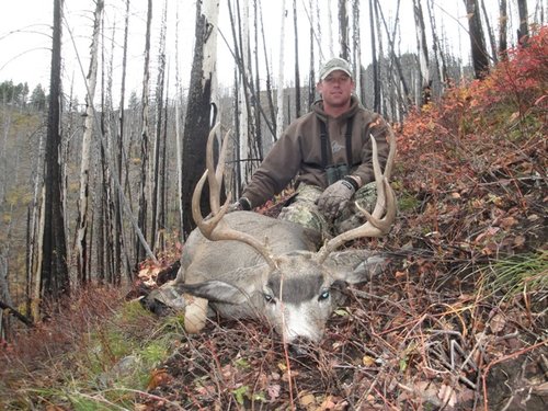 Idaho 2011.JPG Idaho 2011.JPG