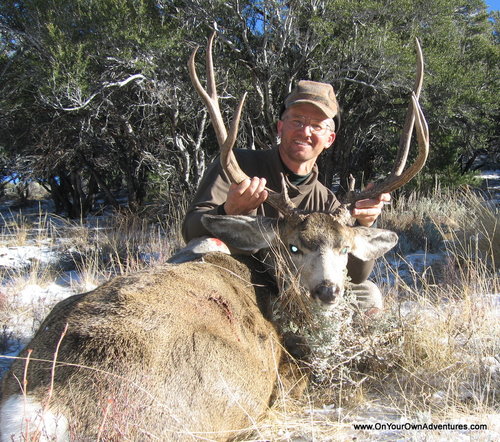 NV 2006 Deer 1.JPG NV 2006 Deer 1.JPG
