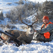 montana mule.png montana mule.png