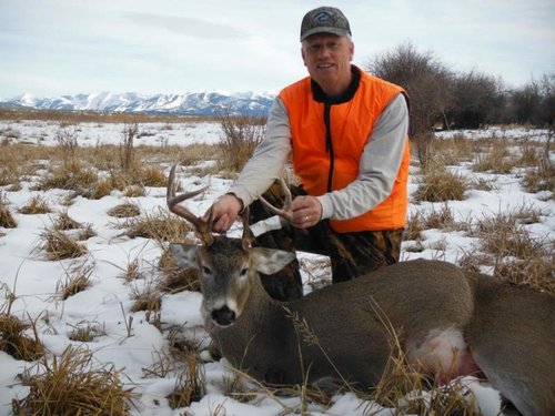 Deer2.jpg Deer2.jpg