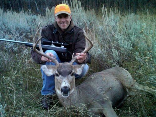 Deer5.jpg Deer5.jpg