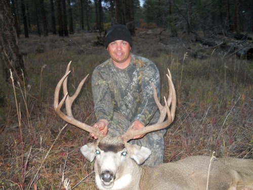 Deer8.jpg Deer8.jpg
