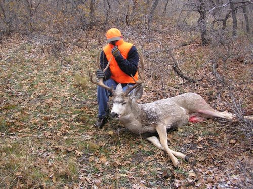 Deer10.jpg Deer10.jpg