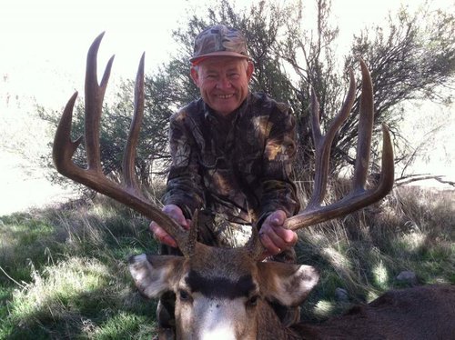 Deer14.jpg Deer14.jpg
